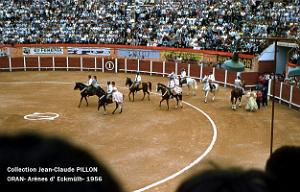 Oran- Arenes d' Eckmulh 26